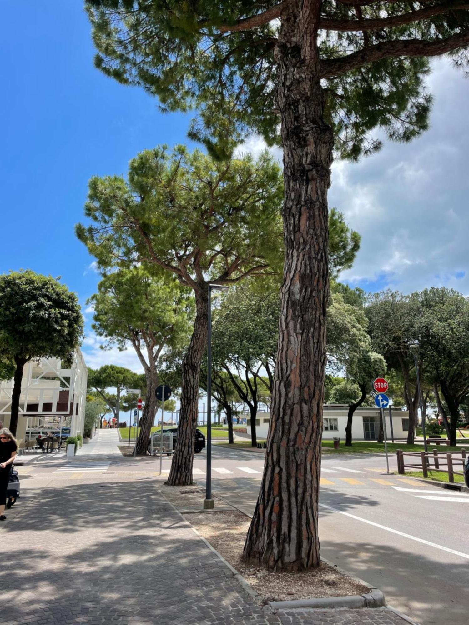 Villa Paradiso Lignano Sabbiadoro Esterno foto